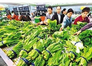 春節(jié)前菜市場探秘 蔬菜、水產(chǎn)、肉類價格與供應(yīng)全解析